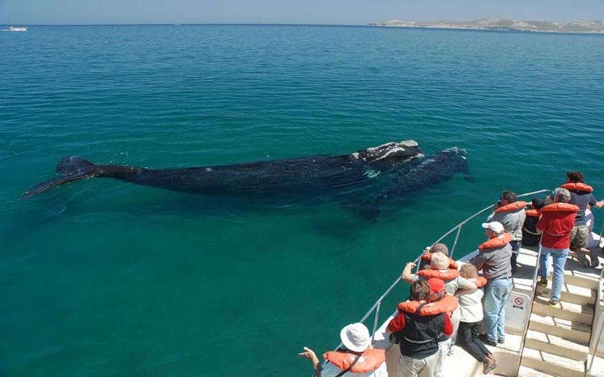 Departamentos Ensuenos Lägenhet Trelew Exteriör bild